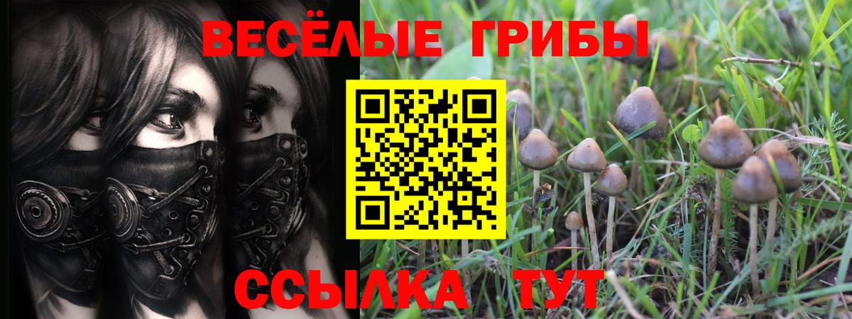 Псилоцибиновые грибы ЛСД Обнинск